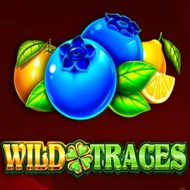 Play the Wild Traces slot by Amusnet Interactive on Sol Casino